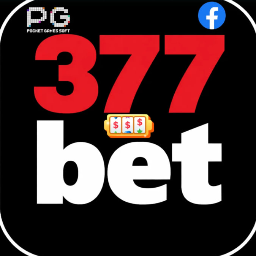 377bet COM