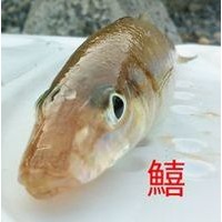 福嶋 浩幸