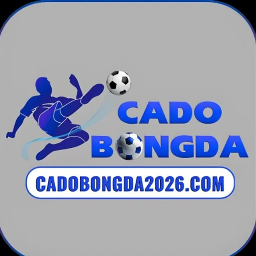 Trang cá độ bóng đá