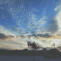 チョウゼイヘイ チョウゼイヘイ