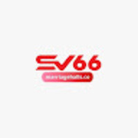 in net Sv66