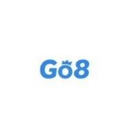 GO8 Cổng game