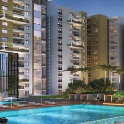 Purva Codename Bliss