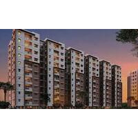 Song of the lake Purva