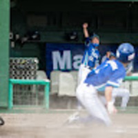 碇 穂 ビジネス