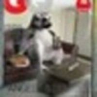 dx c3　シースリー