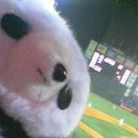 ジェームズ パンダジュニア