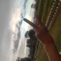 キッキ モンキー