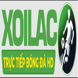 lừa đảo most-fit.com