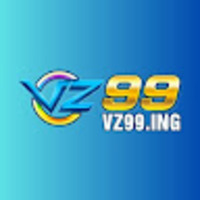 ing VZ99