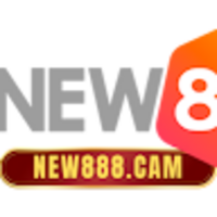 new88 8cam