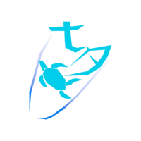 七夕研の社会調査