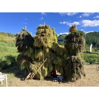 農的暮らしコミュニティ