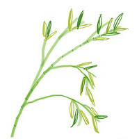 たった10分の家庭教師