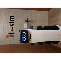 アイティーシム