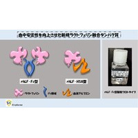 血中安定性を向上させた新規ラクトフェリン融合タンパク質