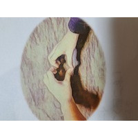 楽しみをみつけるお店　YOKA