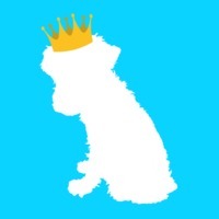 世の中を変えるペット用品の開発と販売