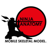 -Ninja Anatomy-21世紀にふさわしい骨格模型-