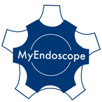 MyEndoscope