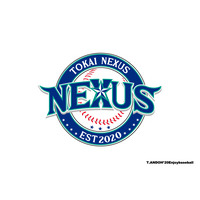 女子硬式野球社会人クラブチーム運営