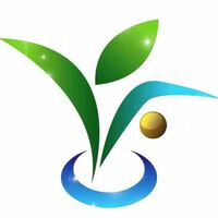 AIソリューション