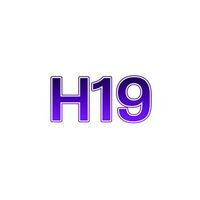 H19